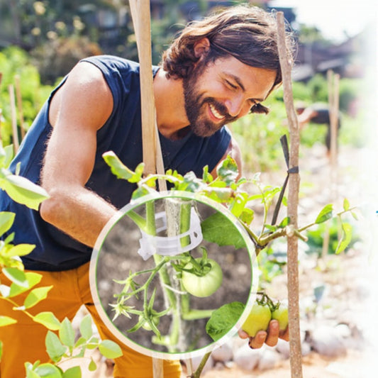 🍅🍅【200kusů】🌱Upevňovací klip pro pěstování sazenic