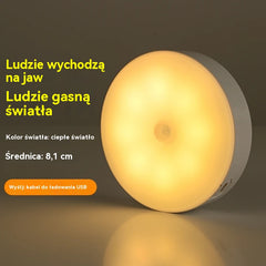 🏡【Kup 2, otrzymaj 2】💡Inteligentne światło LED wykrywające ruchy ciała człowieka, łatwe do ładowania i praktyczne