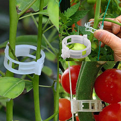 🍅🍅【200 szt.】🌱Klipsy do roślin pnących, odpowiednie do różnych roślin pnących, takich jak pomidory, ogórki i winogrona.