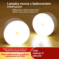 🏡【Kup 2, otrzymaj 2】💡Inteligentne światło LED wykrywające ruchy ciała człowieka, łatwe do ładowania i praktyczne