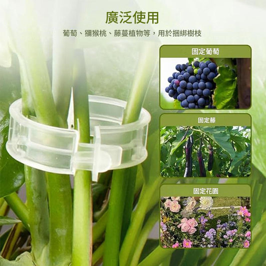 【🔥200個裝】幼苗植物生長固定夾