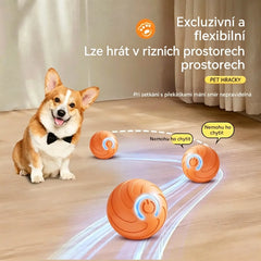 🎁【2KS】Interaktivní míček Smart Pet Bounce🐶