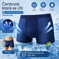 4 kusy (L-4XL) 🔥 2026 Nové pánské boxerky z ledového hedvábí, modal, veliké, s antibakteriální síťovinou