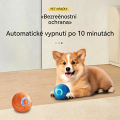🎁【2KS】Interaktivní míček Smart Pet Bounce🐶