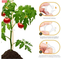 🍅🍅【200 szt.】🌱Klipsy do roślin pnących, odpowiednie do różnych roślin pnących, takich jak pomidory, ogórki i winogrona.